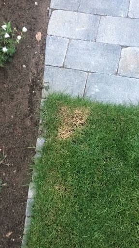 Brandplekken behandelen in Doetinchem - foto 2