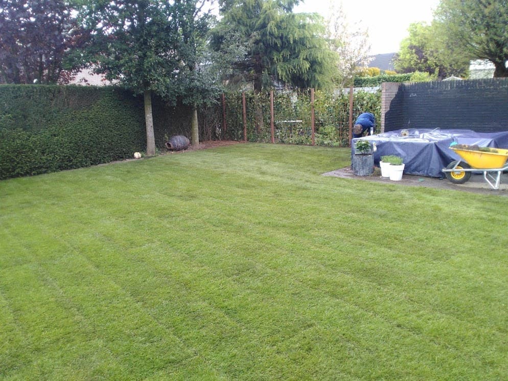 Gazon vernieuwen in Doetinchem - foto 3