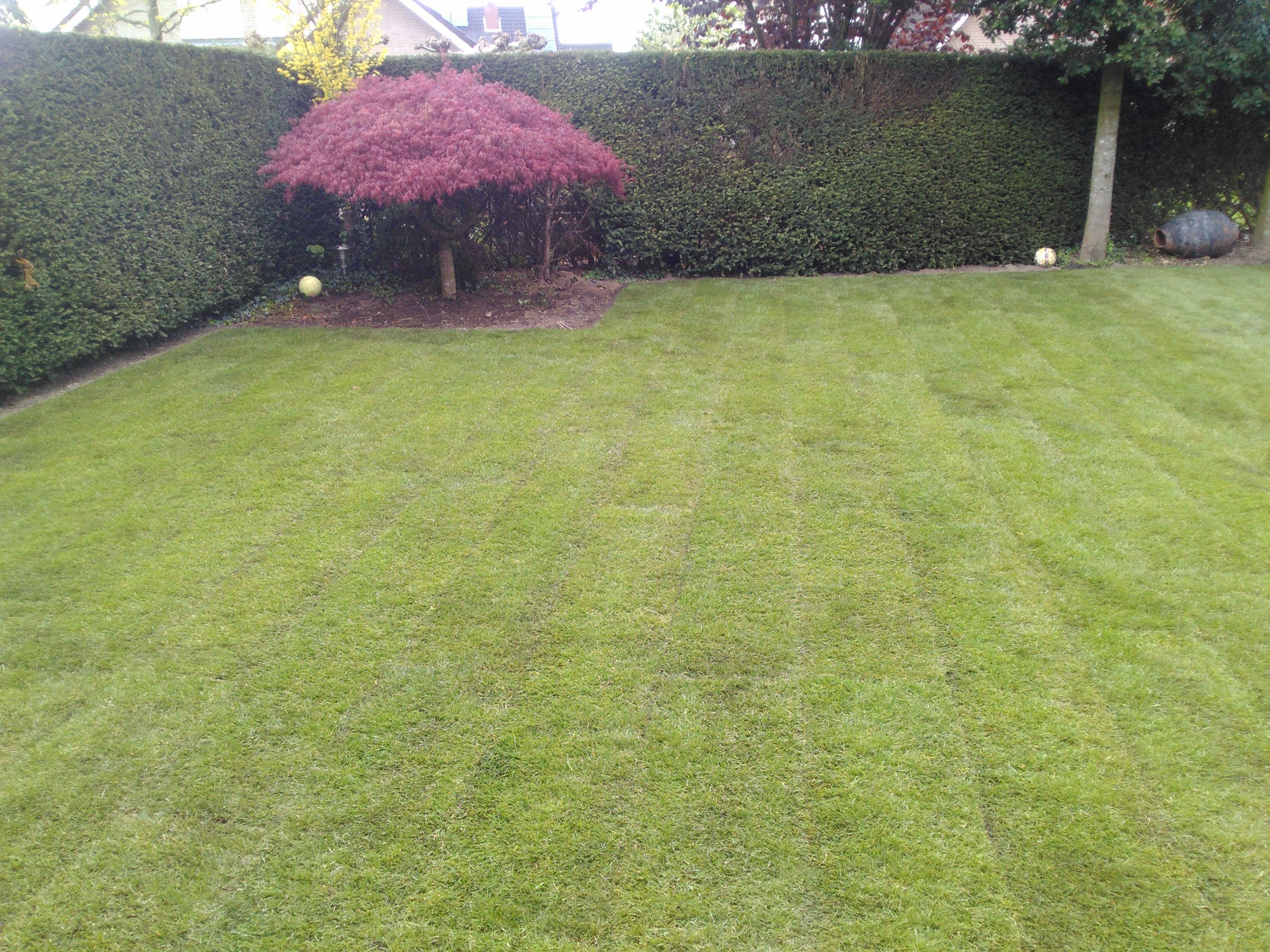 Gazon vernieuwen in Doetinchem - foto 6