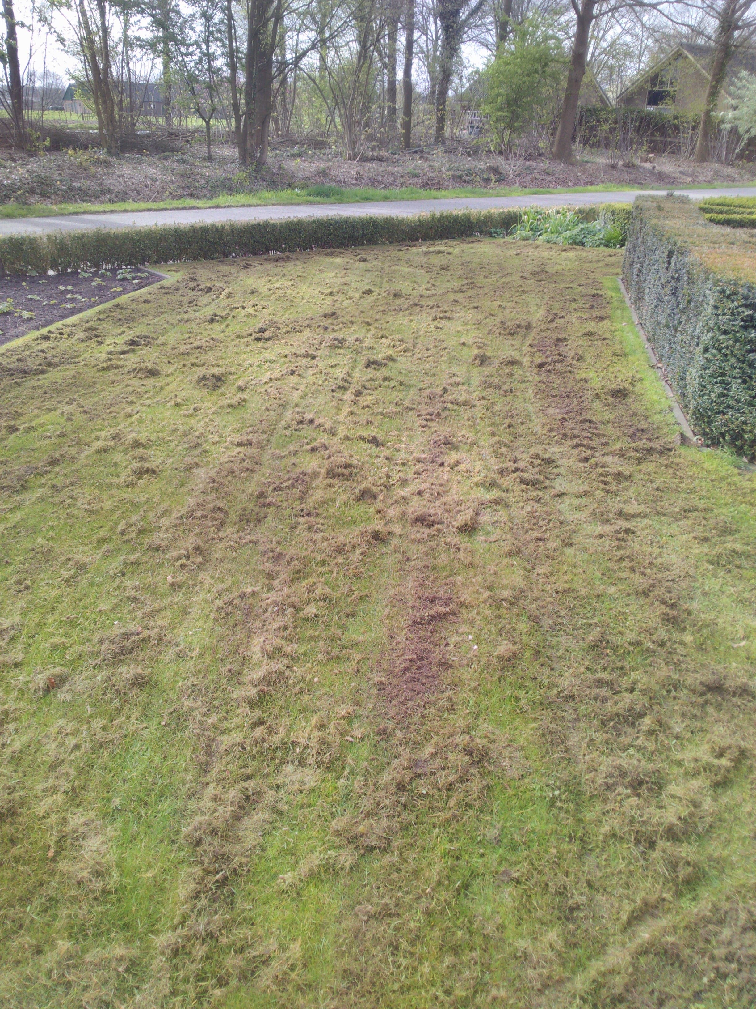 Gazononderhoud in Doetinchem - foto 1