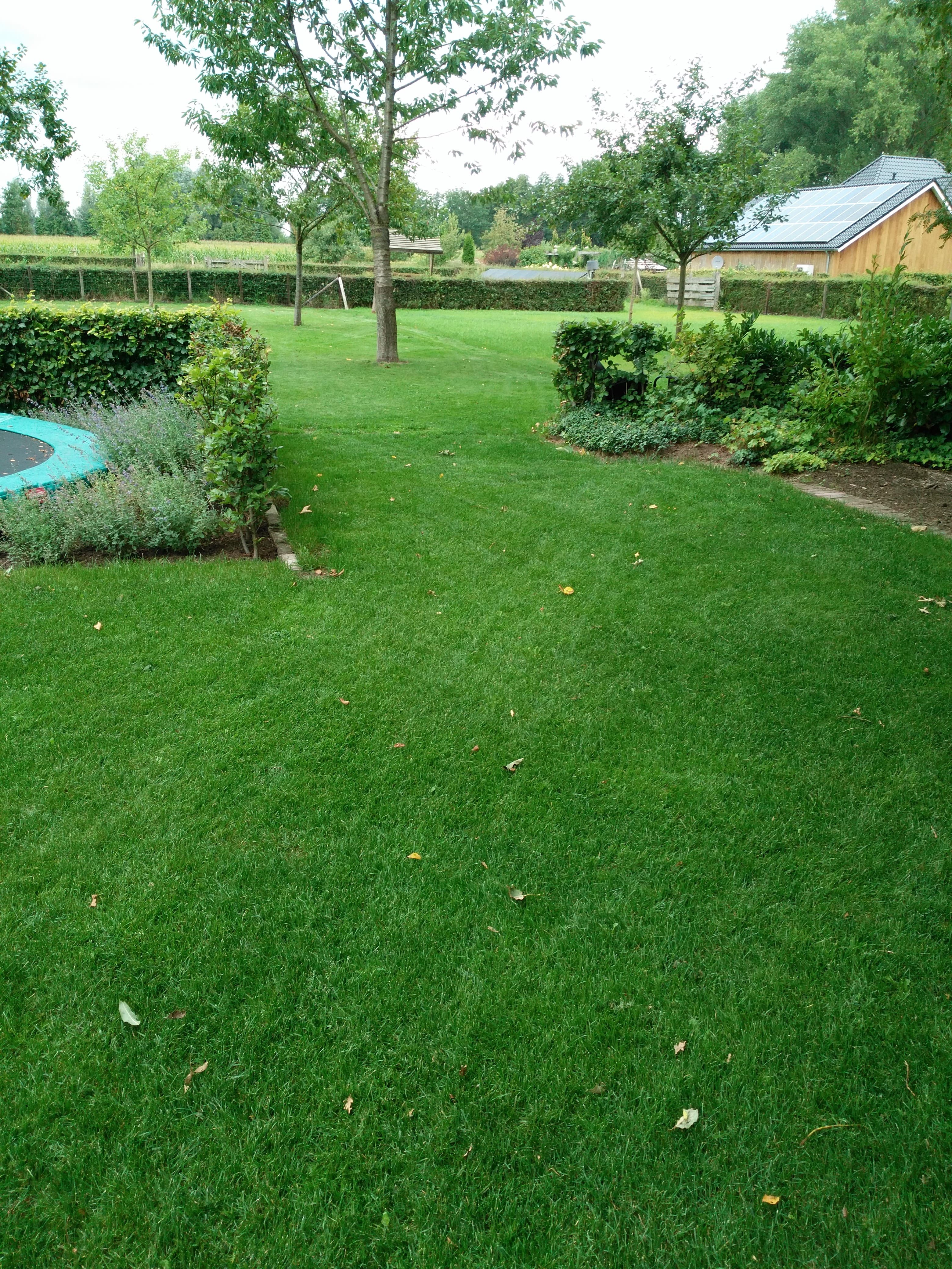 Gazononderhoud in Doetinchem - foto 2