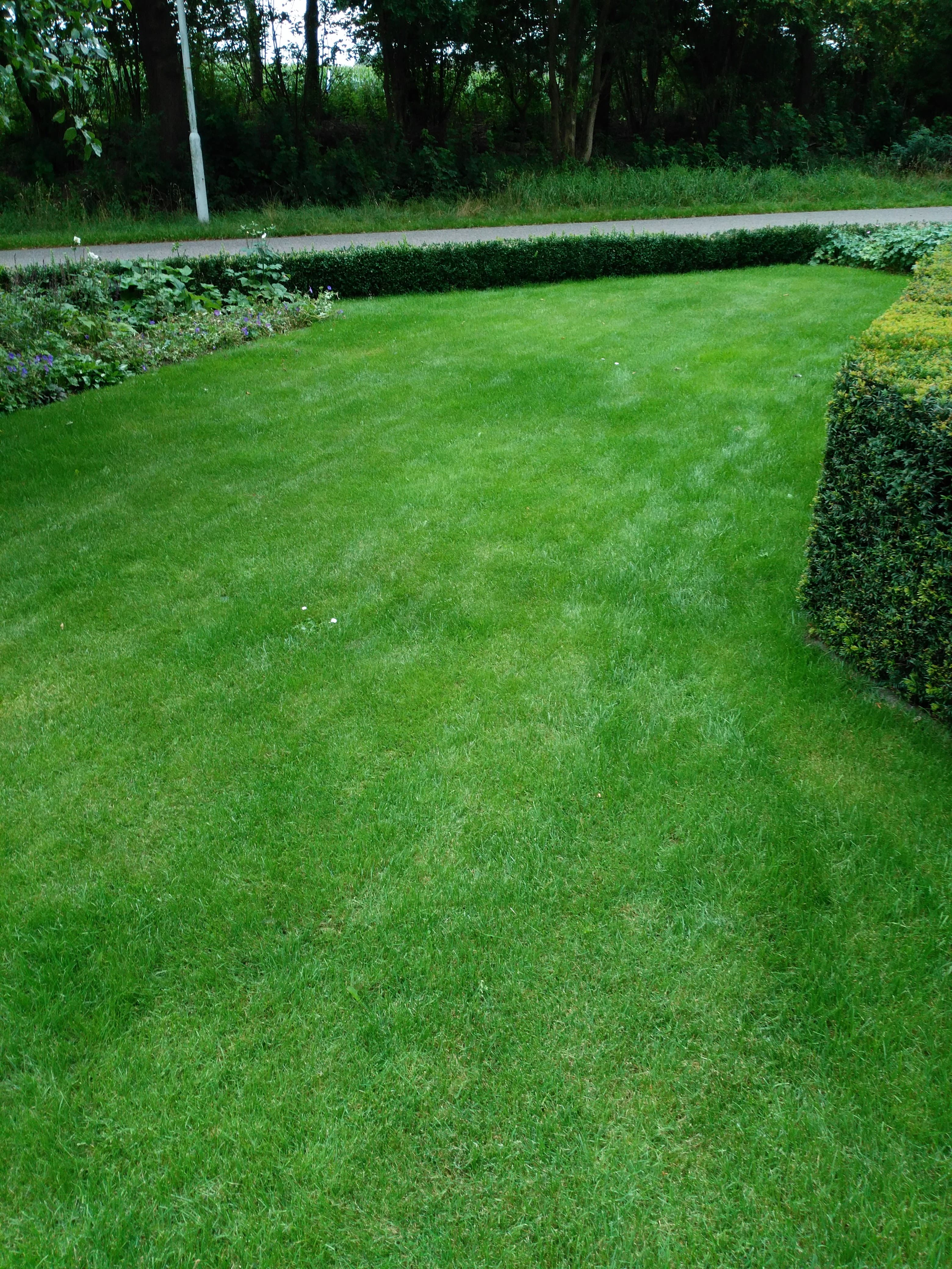 Gazononderhoud in Doetinchem