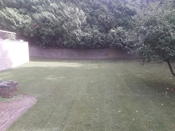 Graszoden leggen in Arnhem - foto 2