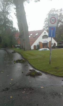 Graszoden leggen in Arnhem - foto 4