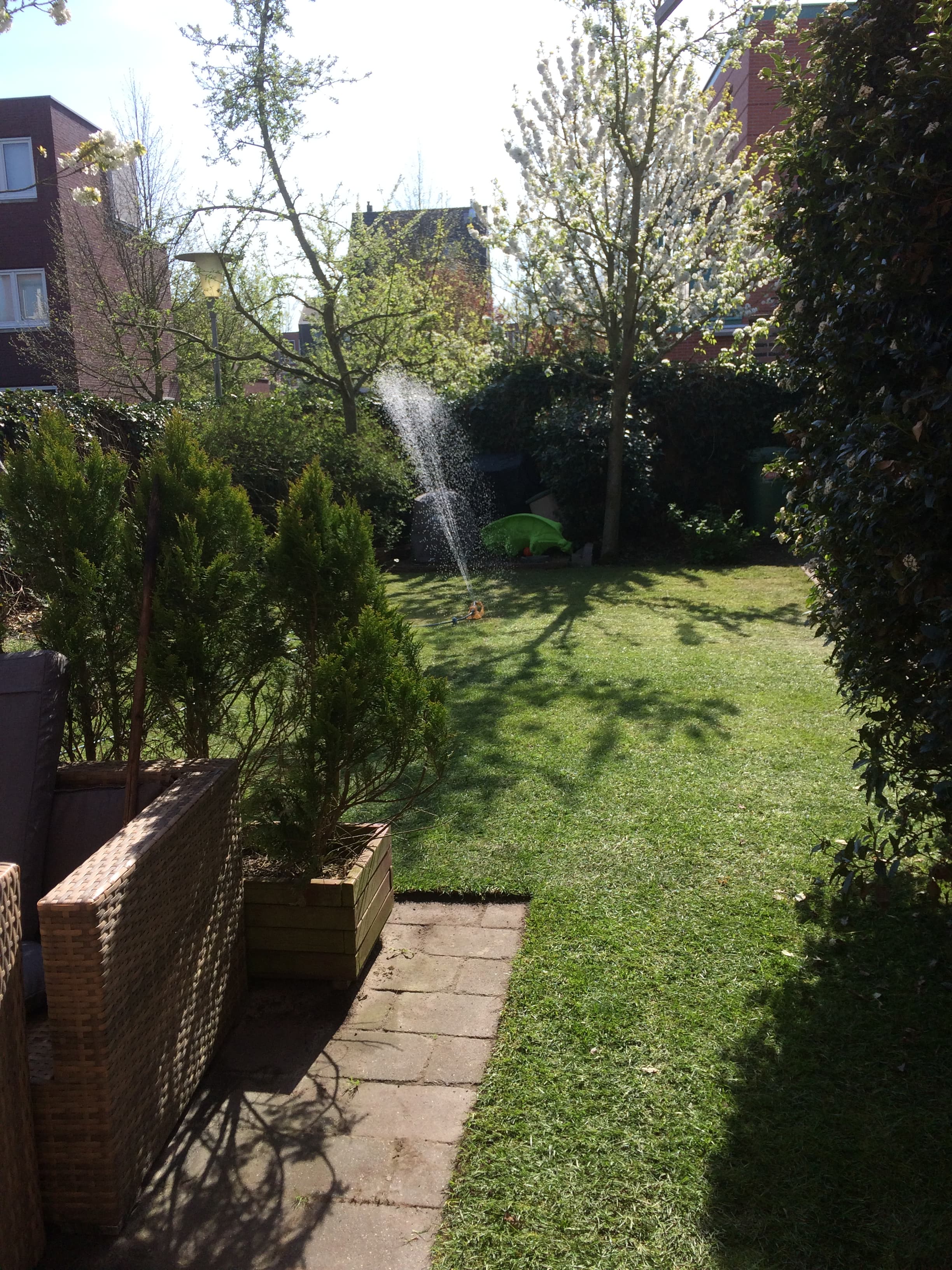 Graszoden leggen in Arnhem - foto 5