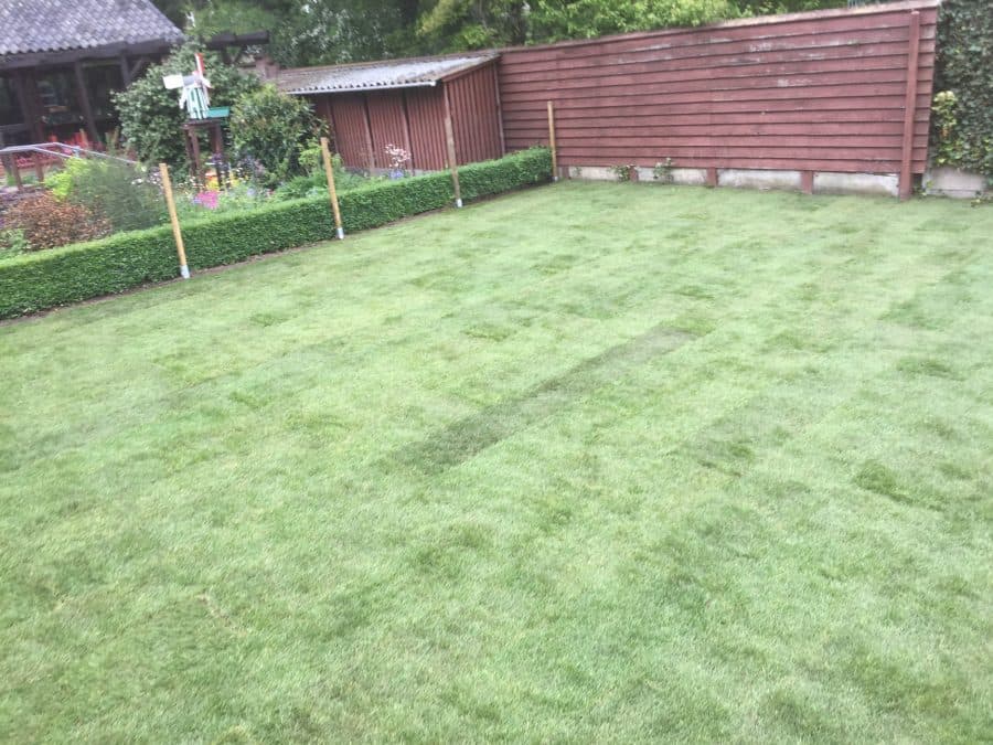 Graszoden leggen in Doetinchem - foto 6