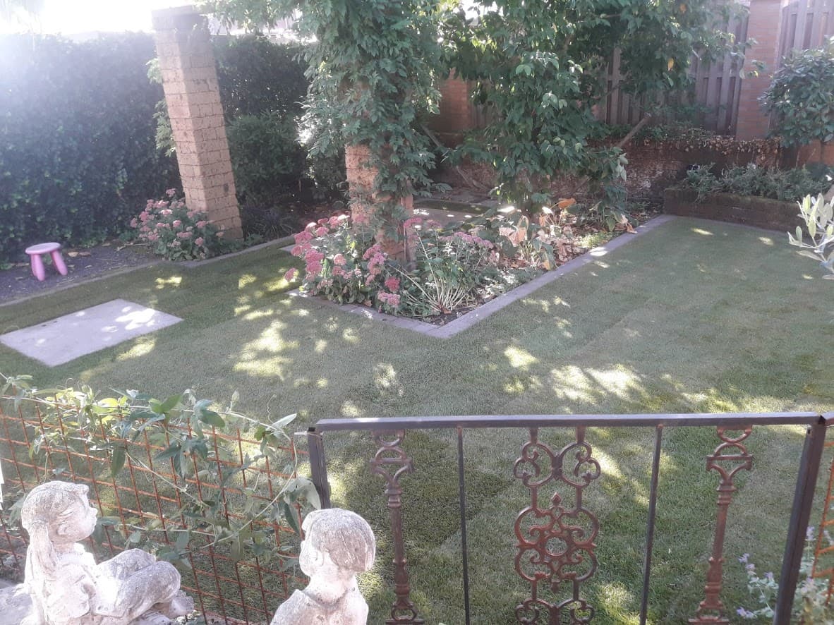 Graszoden leggen in Ulft - foto 1