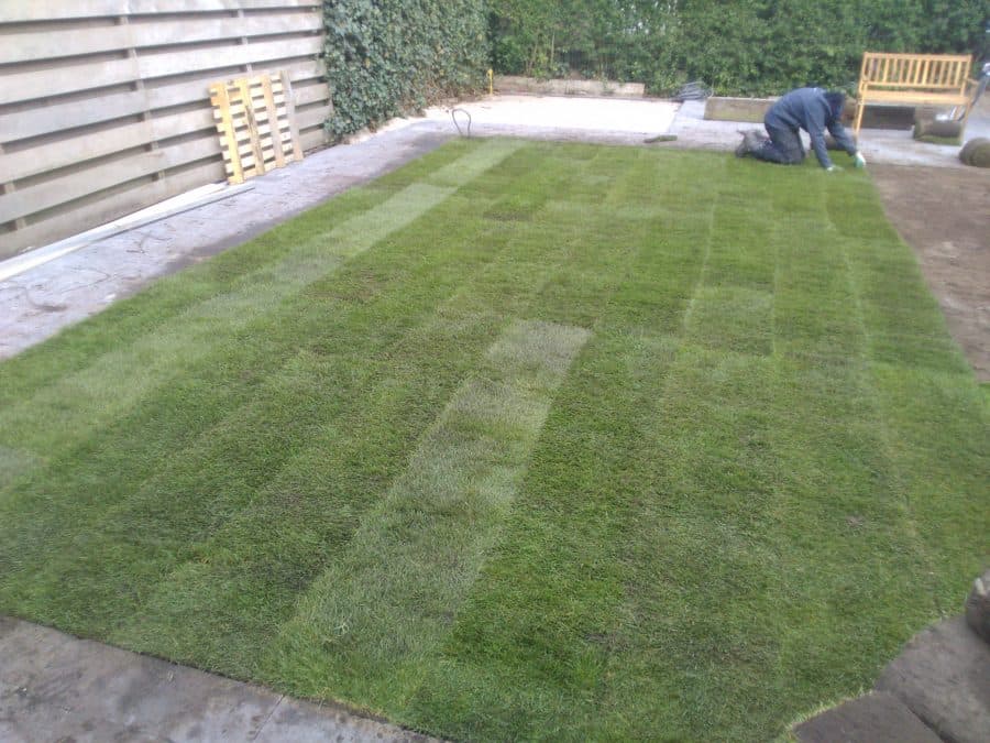 Graszoden leggen