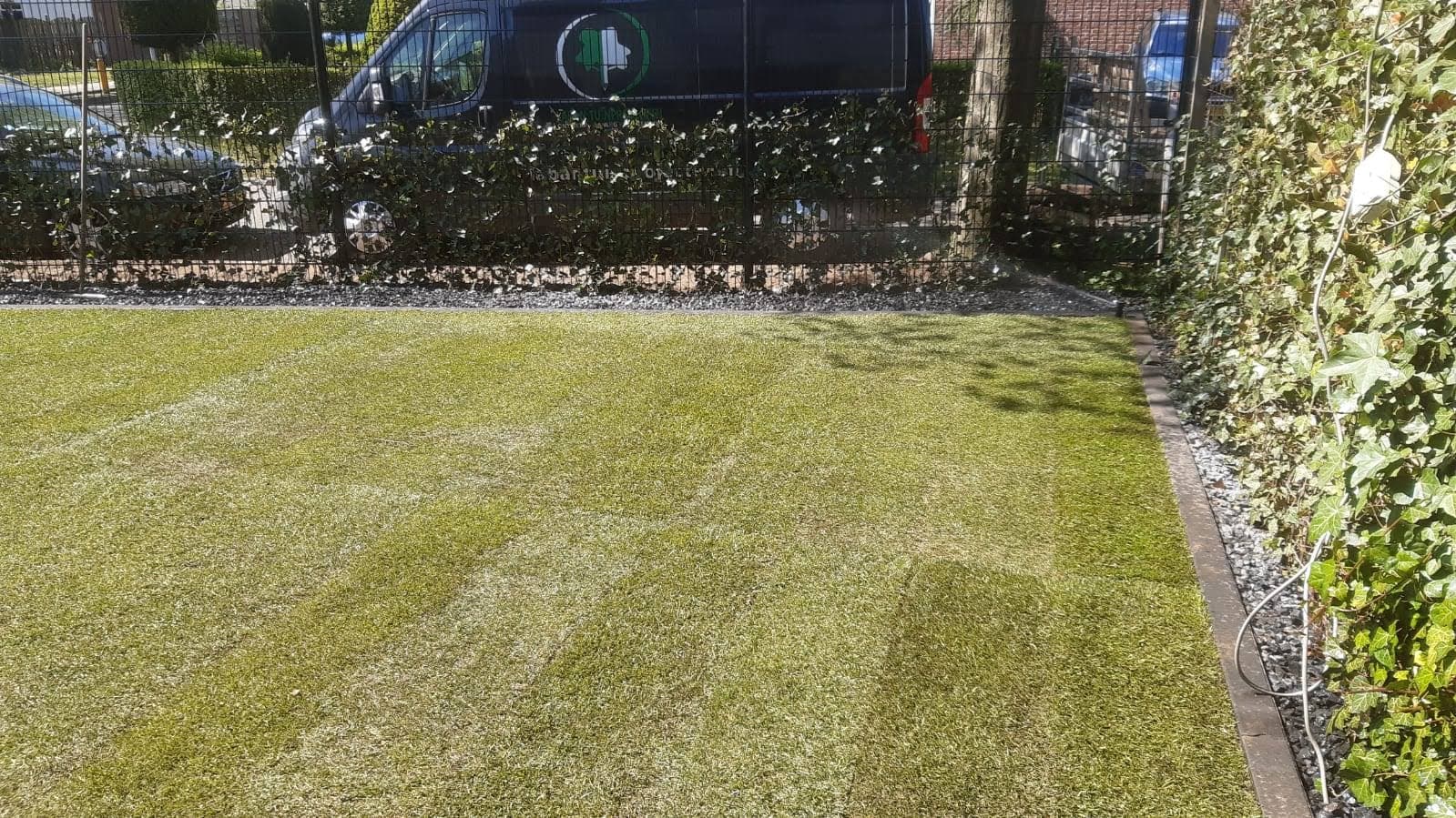 Nieuwe graszoden